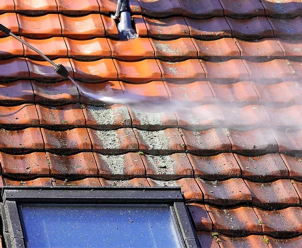 traitement-anti-mousse-78